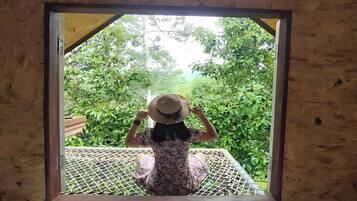 Family Room | View from room