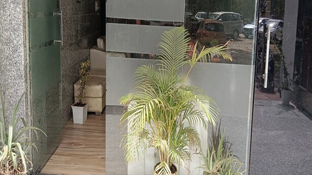 A modern interior with a wooden floor, a seating area with a sofa and a small table, and several potted plants. - Bellmore Stay & Homes (Gurugram)