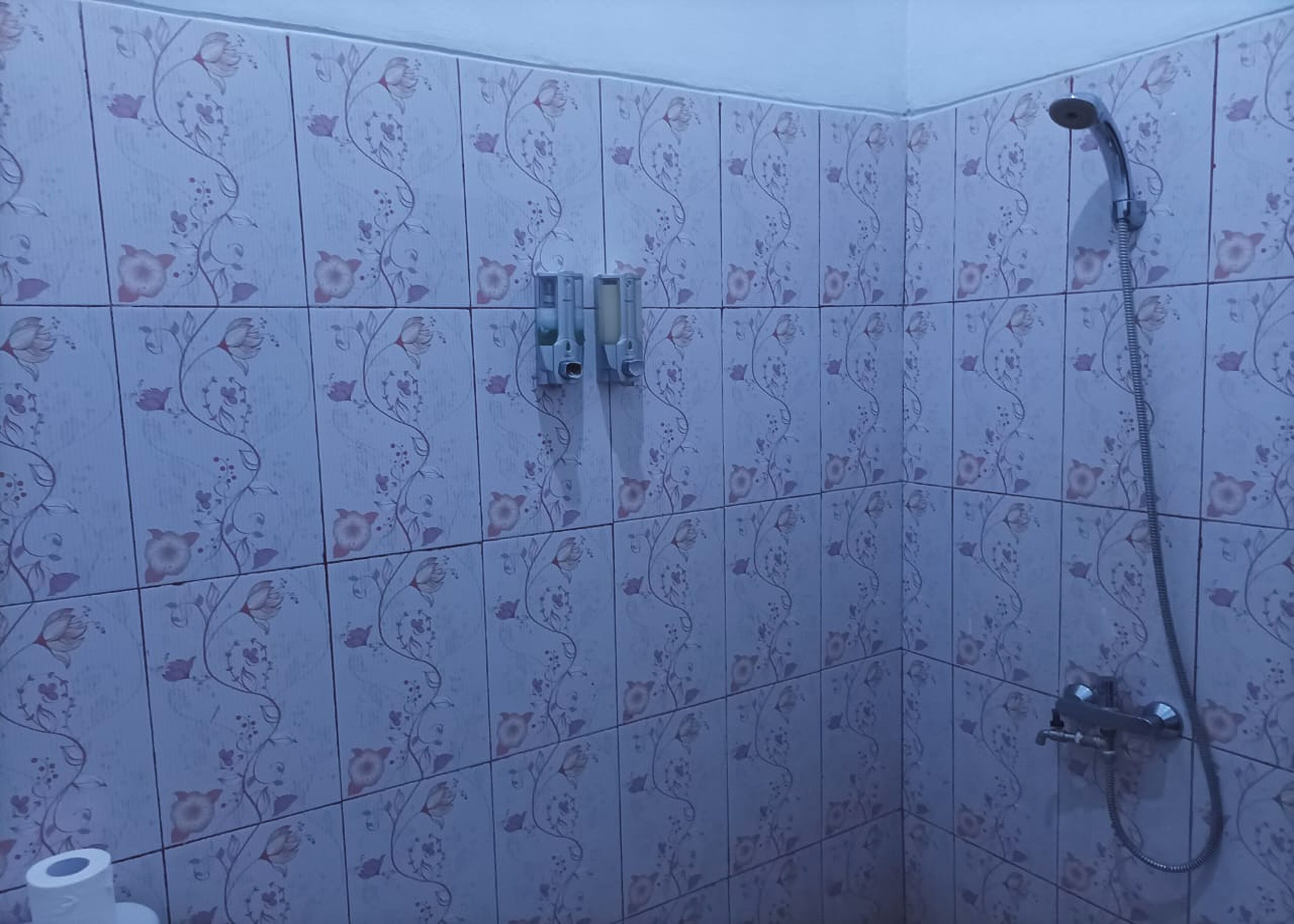 A shower area with floral tiles, a handheld showerhead, and a wall-mounted faucet.