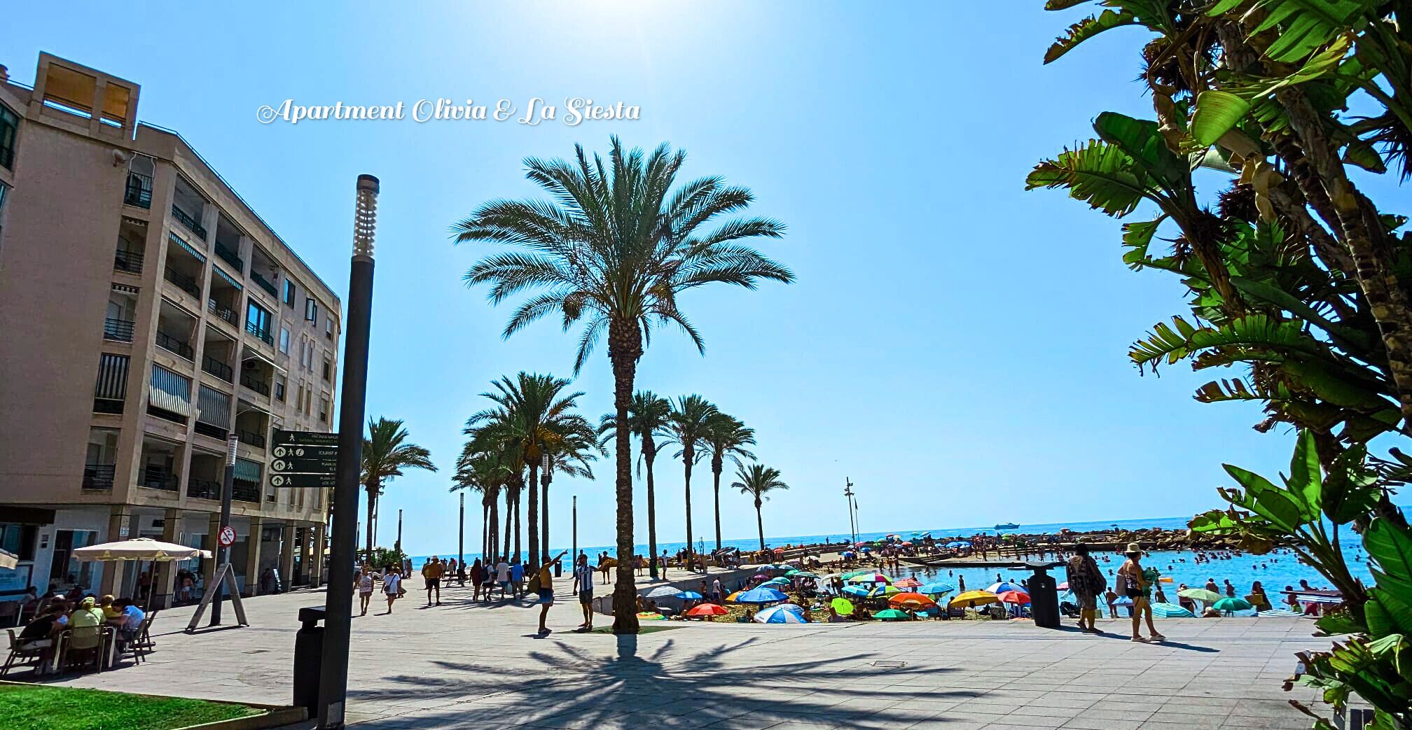 Sun-loungers, beach towels
