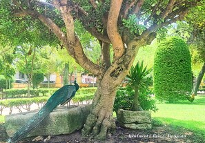 Enceinte de l’hébergement