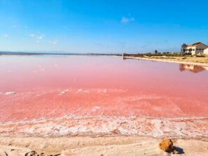 Unclassified image, 3 of 28, button