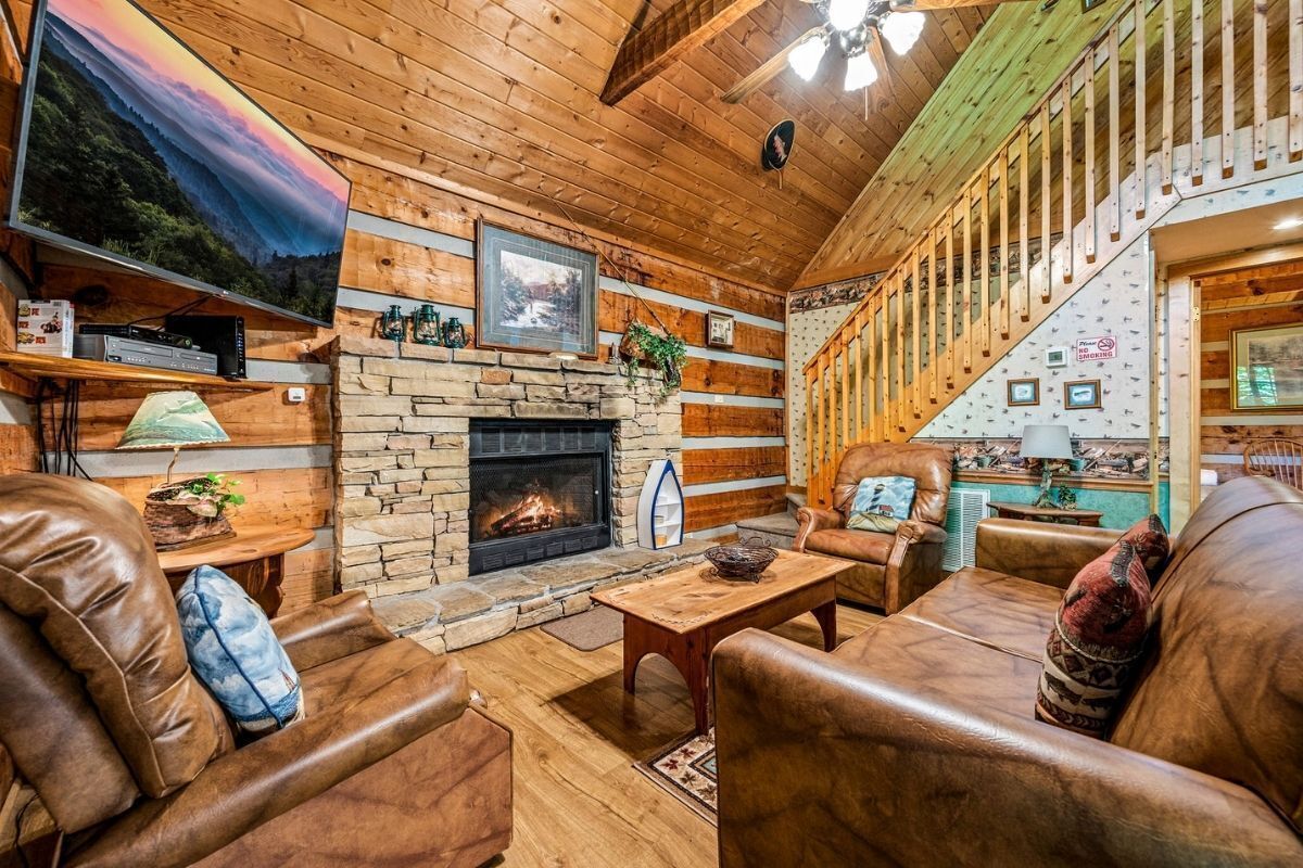 テレビ、暖炉、DVD プレーヤー