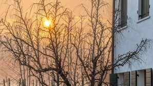 A house with a garden, a tree, and a sunset in the background.