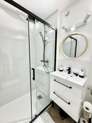 Douche, séchoir à cheveux, papier de toilette