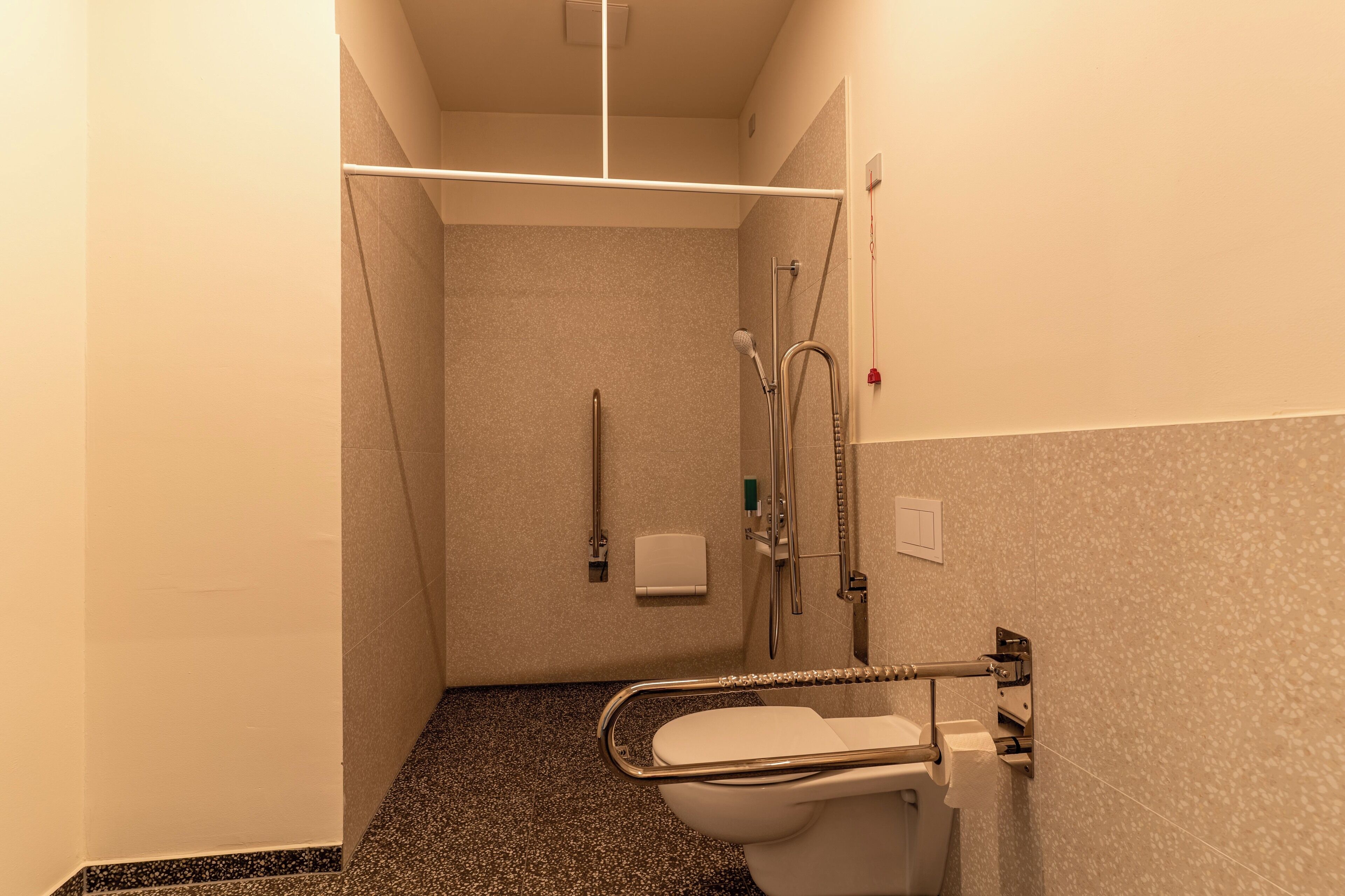 A small, narrow bathroom with a toilet, a shower with a handheld showerhead, and a handrail.