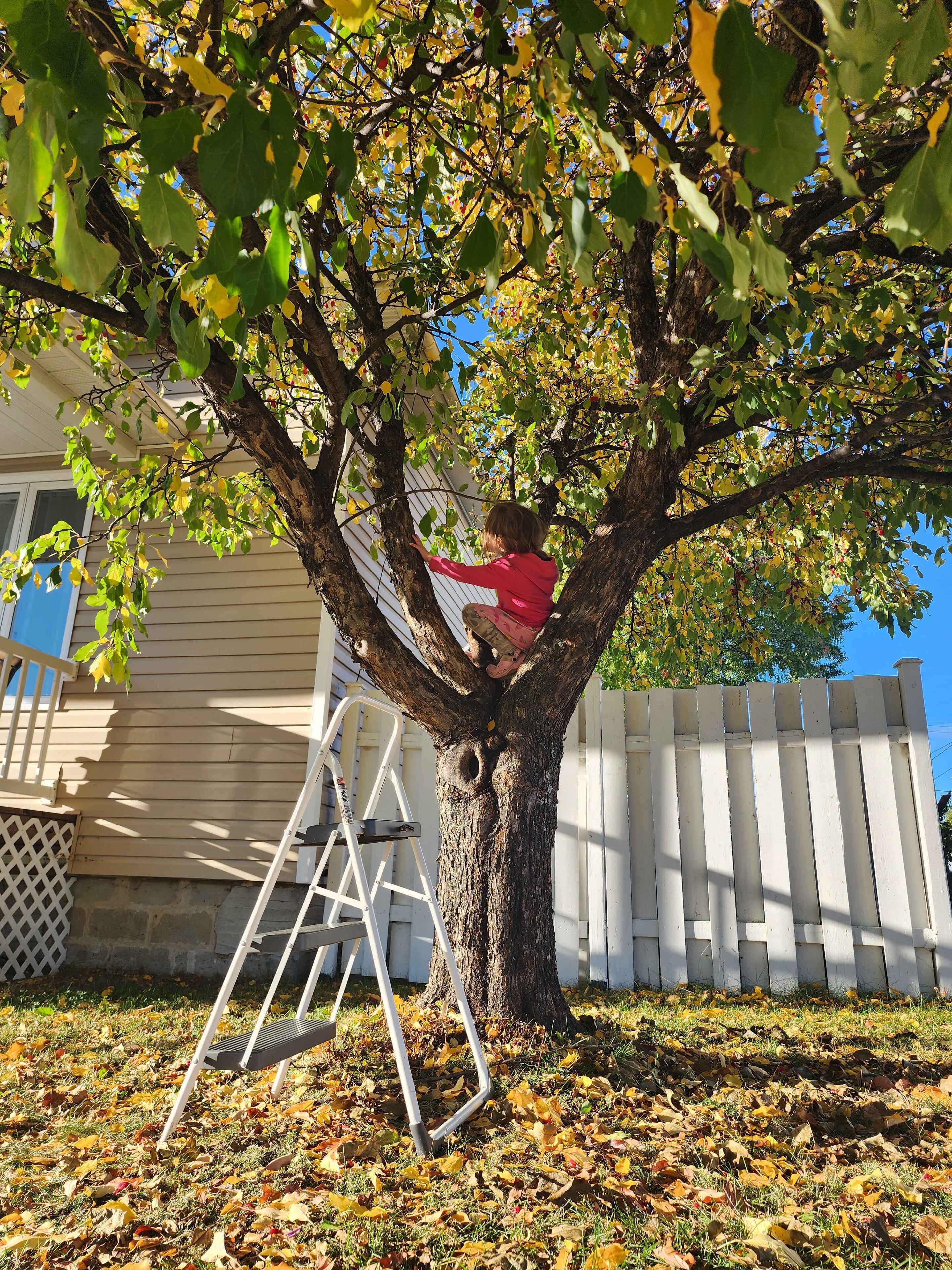 子供用スペース