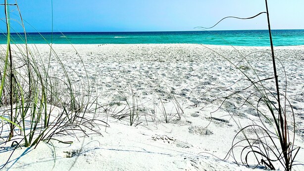 A beach with sand and sparse vegetation. - Dolphin Cove-Luxury Sound front retreat w/private pier.  6 bed/6.5 bath sleeps 1 (Navarre)