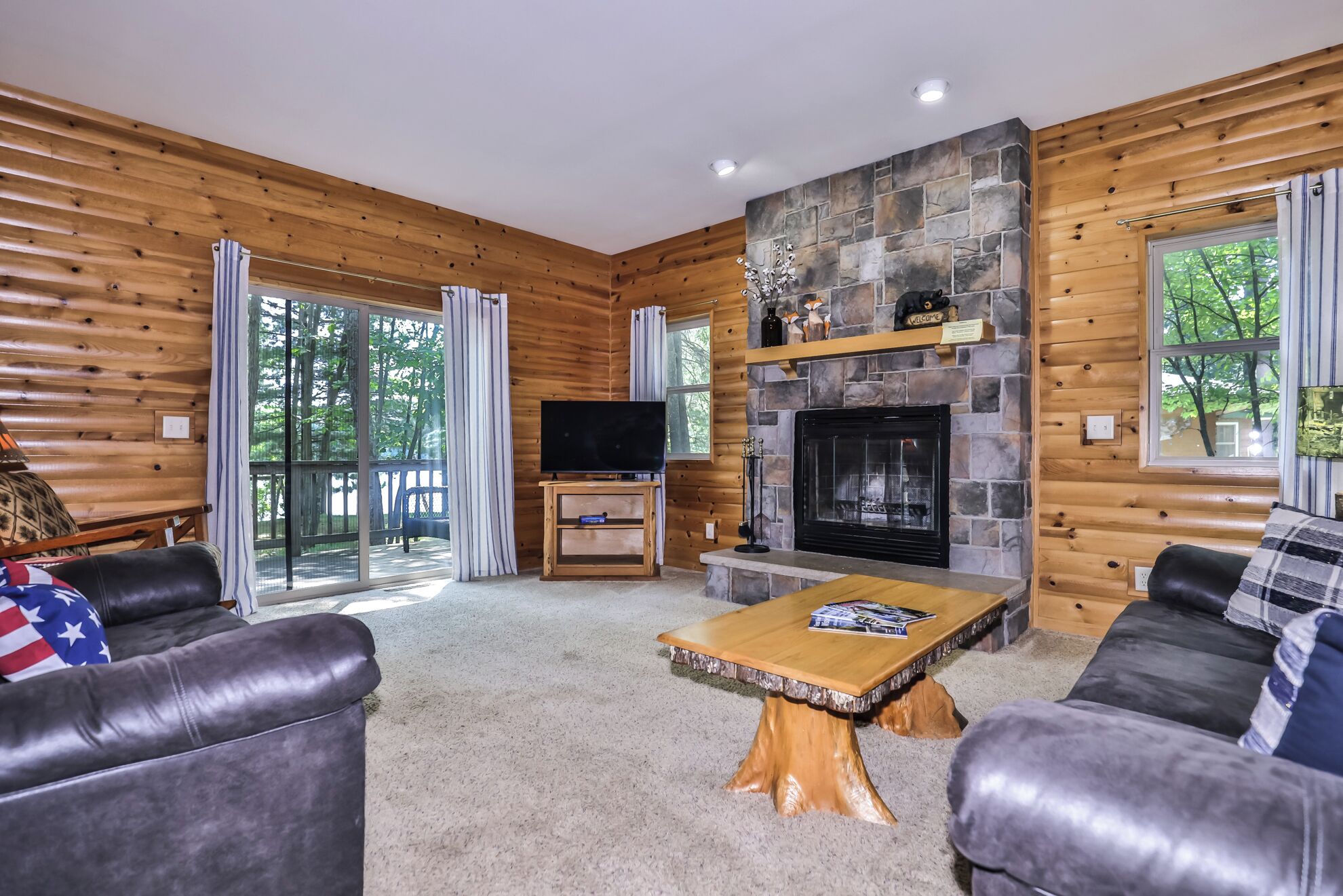 TV, fireplace, DVD player, ping pong