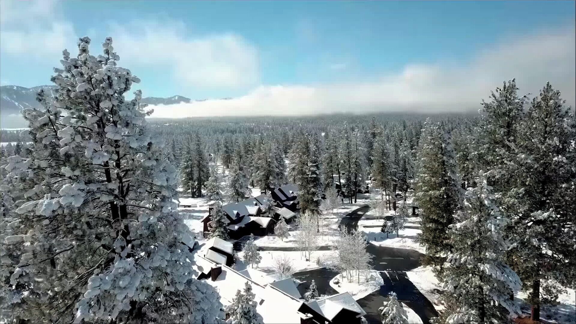 A snowy landscape with a dense forest of snow-covered trees and a few buildings with snow on their roofs.