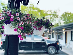 Àrea exterior de l'allotjament