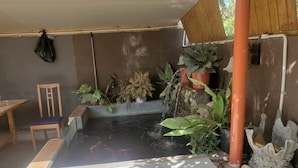 A small indoor pool with a wooden bench, surrounded by various potted plants, and a simple table.