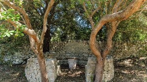 Un mur de pierre avec un banc rustique et des arbres dans un espace ombragé.