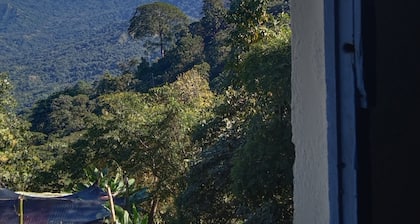 Minca Casa Finca Cafetera La Alicia