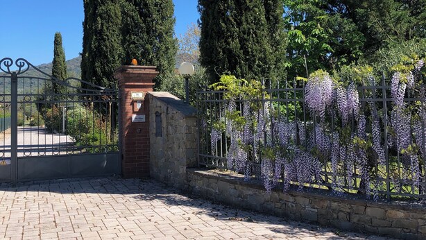 A paved entrance with a metal gate, a stone wall, and a wisteria fence.