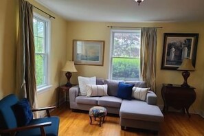 TV, fireplace, books