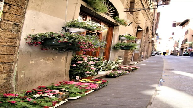 Una calle estrecha bordeada de edificios, algunos con macetas y jardineras a nivel de la calle.