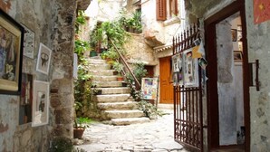 Un escalier étroit en pierre mène à une porte en bois, qui est elle-même entourée de murs ornés de tableaux encadrés et de plantes en pot.