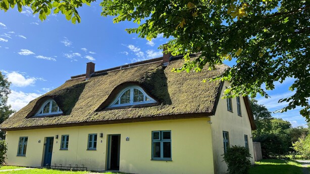 Eksteriør