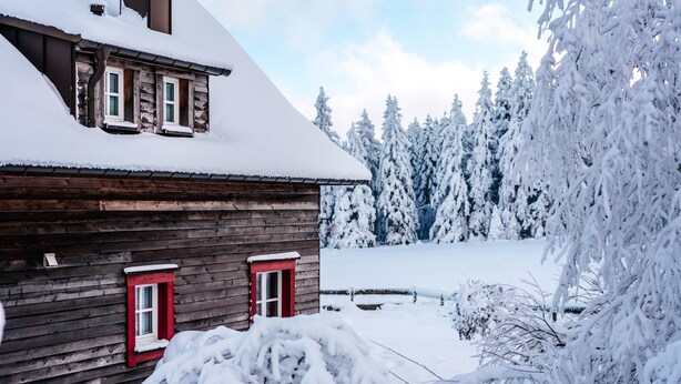 A wooden cabin with a snow-covered roof and a red door, surrounded by snow-laden trees.
