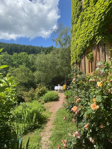 Paradis des amoureux de la nature : Balades et détente au gîte