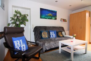 智能电视、DVD 播放器