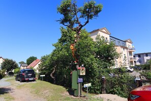 Boendeområde