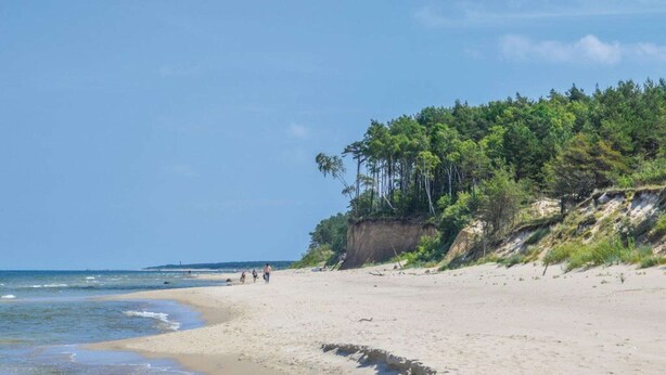 A sandy beach with a forested cliff and ocean view.