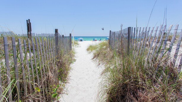 A sandy beach path flanked by wooden fences leading to the ocean.