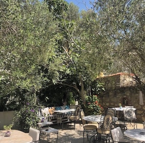 Garden - ÇAKIRBEY HOTEL (Cesme)