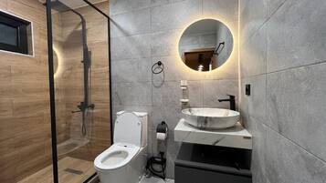 Shower, hair dryer, bidet, towels