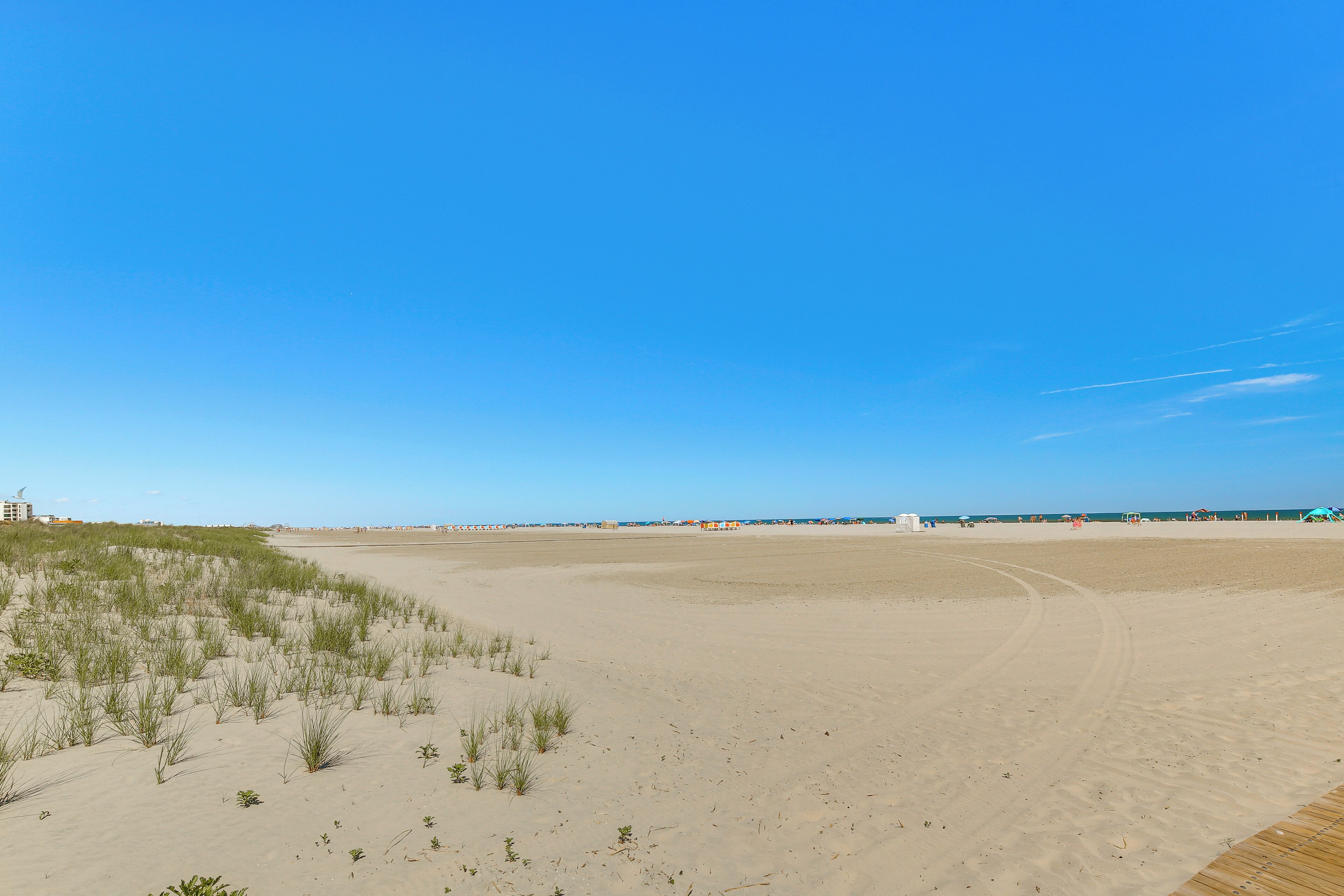 A sandy beach with dunes and a clear blue sky.