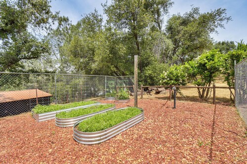 Yosemite Wellbeing Retreat on 5 Acres w/ Mtn Views
