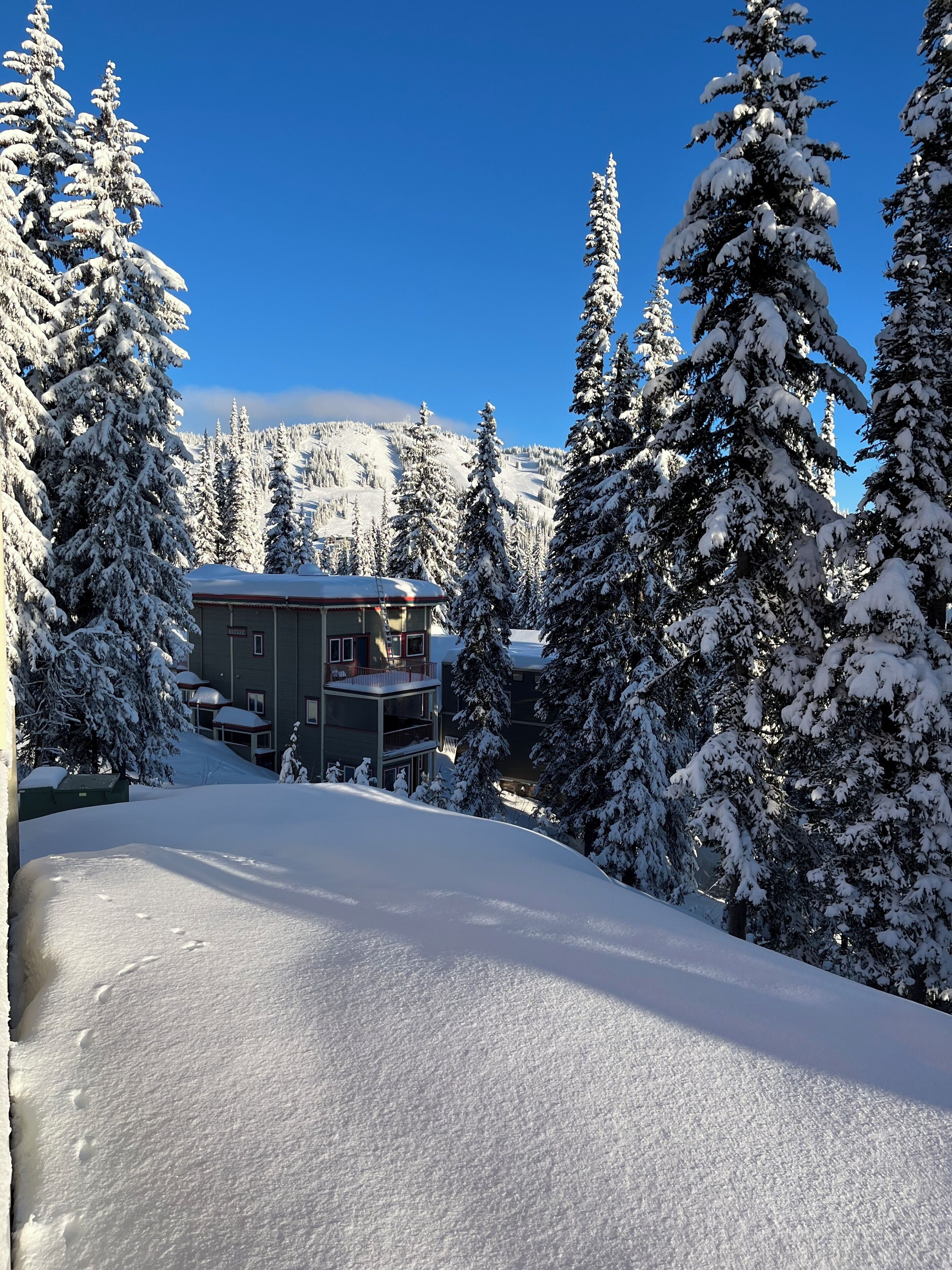 Schneebedeckte Landschaft mit einem Gebäude, umgeben von immergrünen Bäumen.