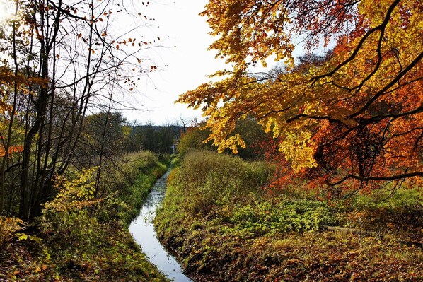 A narrow waterway flanked by trees with autumn foliage.
