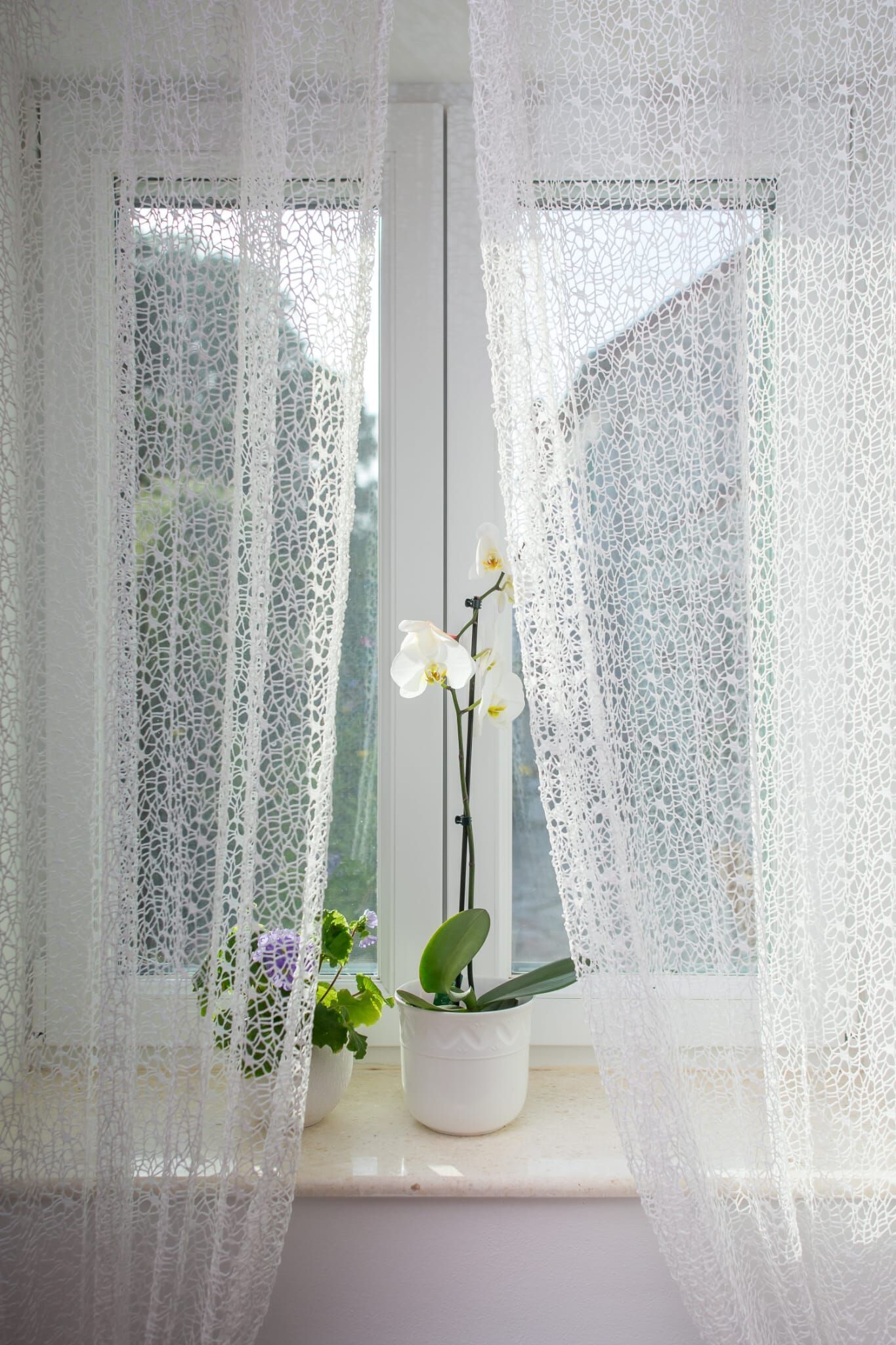 A window with white lace curtains, a potted plant with white flowers, and a small purple flower on the windowsill.