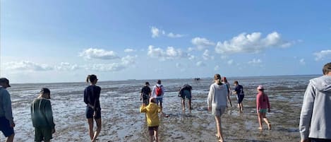 Nära stranden och solstolar