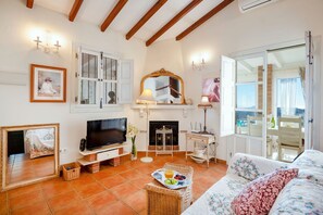 TV, fireplace, books