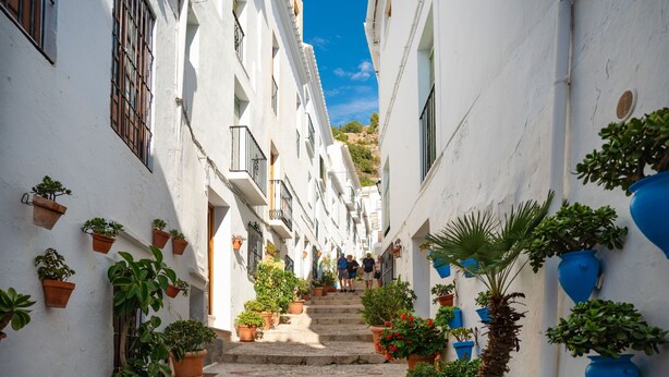 Une rue étroite bordée de bâtiments blancs, de plantes en pot et d’un escalier menant vers le haut.