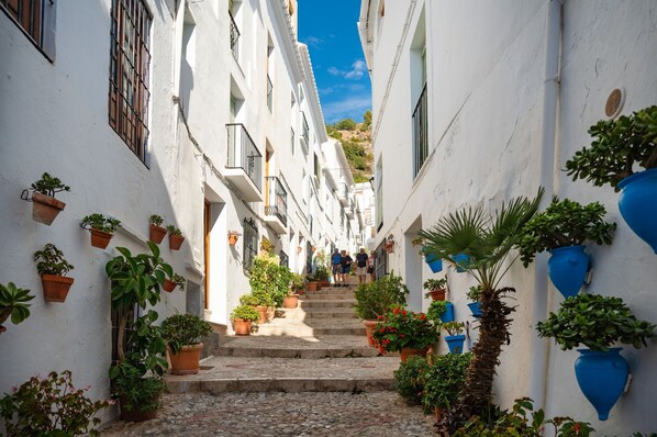 Property grounds - Cortijo Dos Pinos in Frigiliana (Frigiliana)