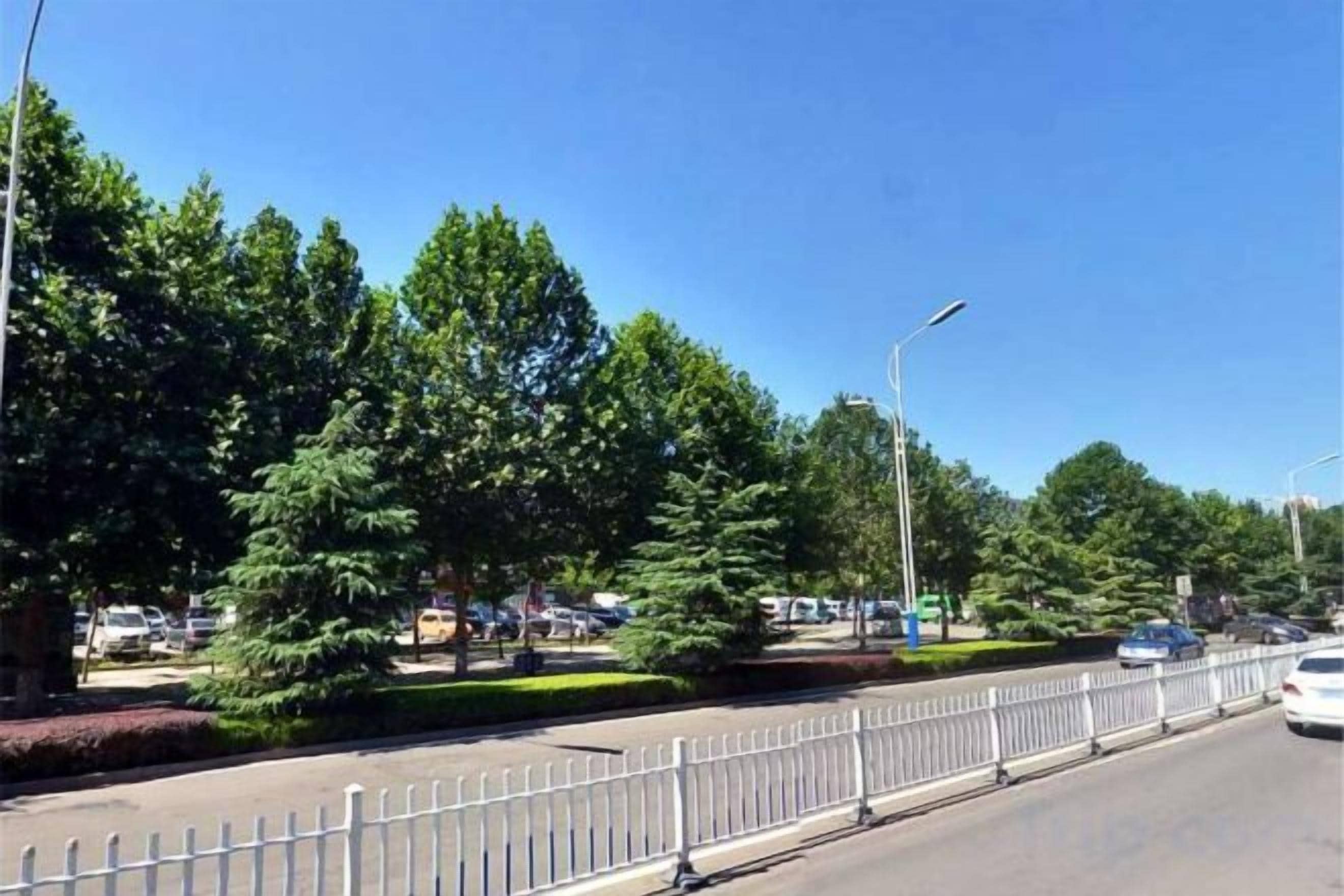 A road with a white fence, trees, and parked cars.