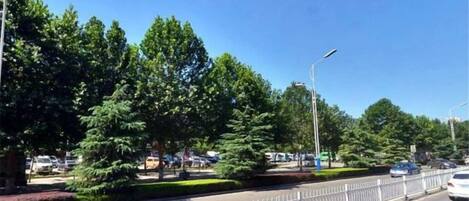 A road with a white fence, trees, and parked cars.