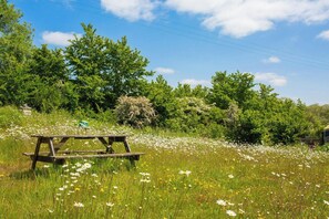 Property grounds - The Old Cottage, Aberporth (Glanrhyd)