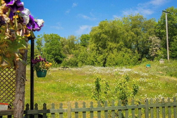 A grassy field with a wooden fence, trees, and a hanging flower basket. - The Old Cottage, Aberporth (Glanrhyd)