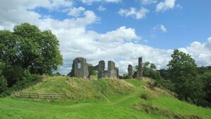A historic stone ruin with a grassy foreground and trees. - The Old Cottage, Aberporth (Glanrhyd)