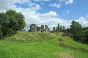 A historic stone ruin with a grassy foreground and trees. - The Old Cottage, Aberporth (Glanrhyd)