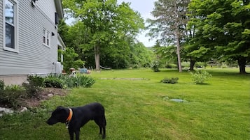 المنطقة المحيطة بالمنشأة