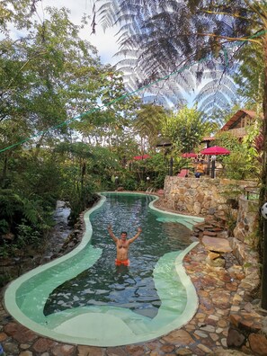 A man in a swimming pool surrounded by lush greenery and stone pathways.