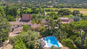 Une villa dotée d’une piscine, entourée d’une végétation luxuriante et de palmiers.