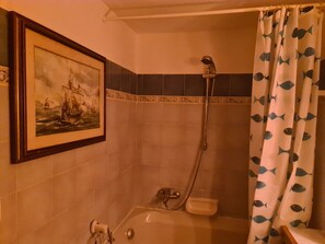 Ducha, secador de pelo, bidé y toallas